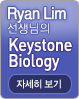 SKYBANNER